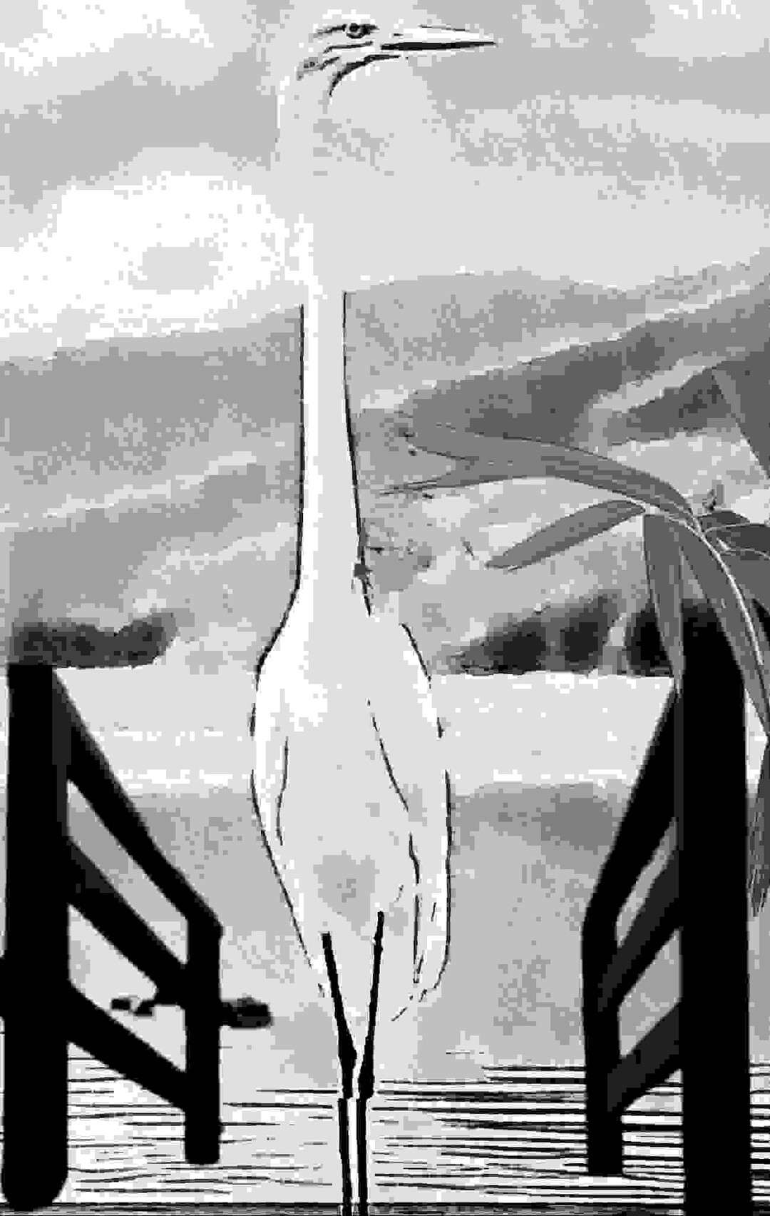 득도(得道)