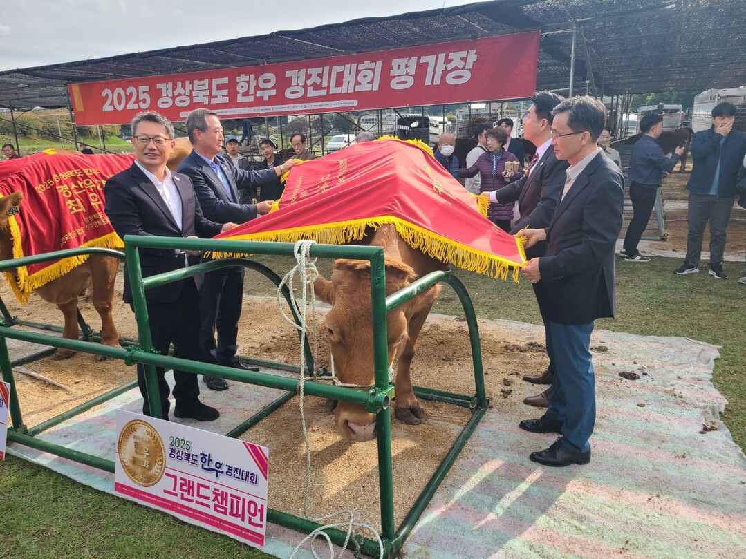 의성군, 경북한우경진대회 4개 부문 ...