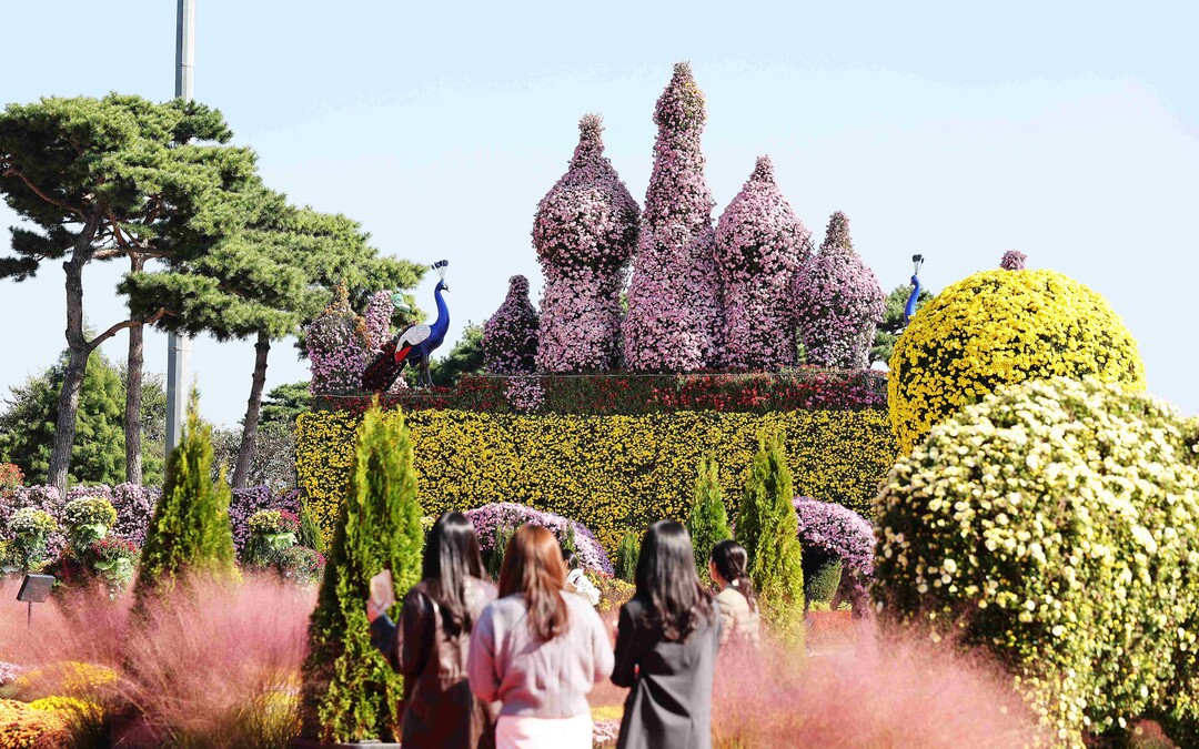 함평군, 인기 절정 ‘2025 대한민...