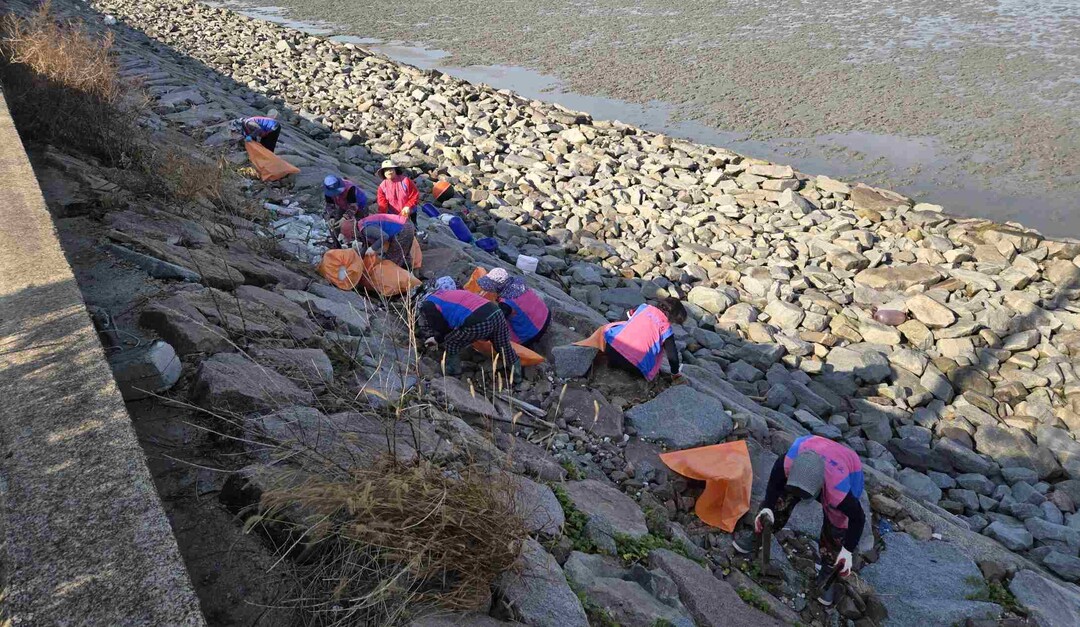 영광군 백수읍생활개선회, 분등 해변 ...