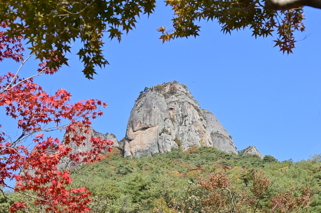 청송 주왕산의 형형색색 단풍으로 물든...