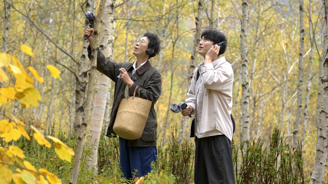태백시, 지지리골·연화산서 ‘웰니스 ...