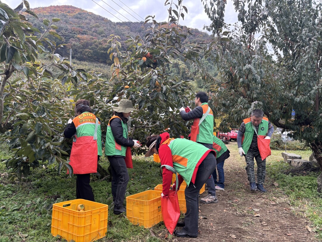 부산 북구 덕천2동, 밀양 초동면에서...