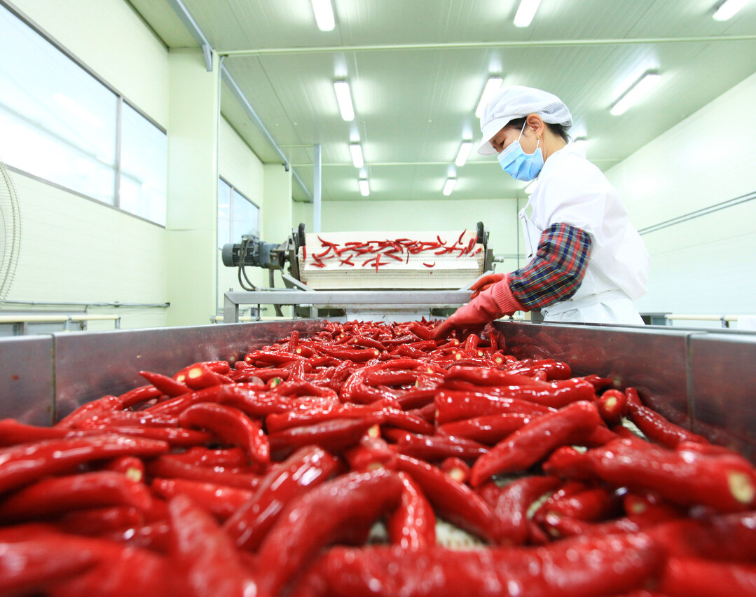 경북 영양, 작지만 강한 부자 농촌으...