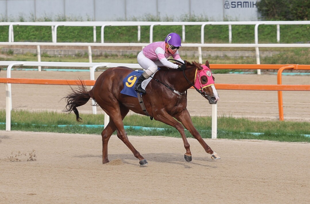농협중앙회장배 우승마 치프스타와 최범현 기수.  이하 렛부경 제공
