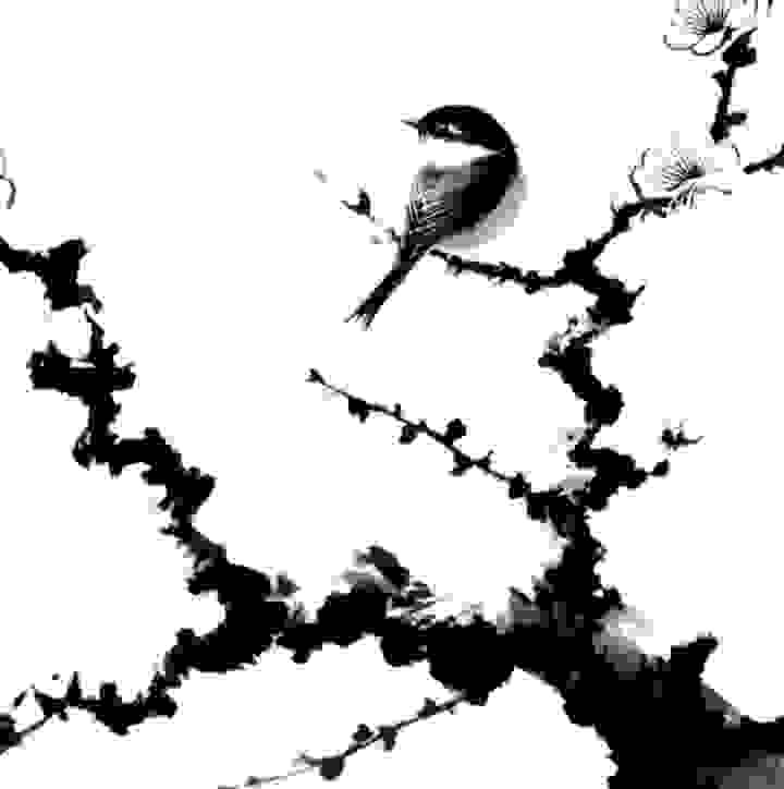 아직도 잘 모른다