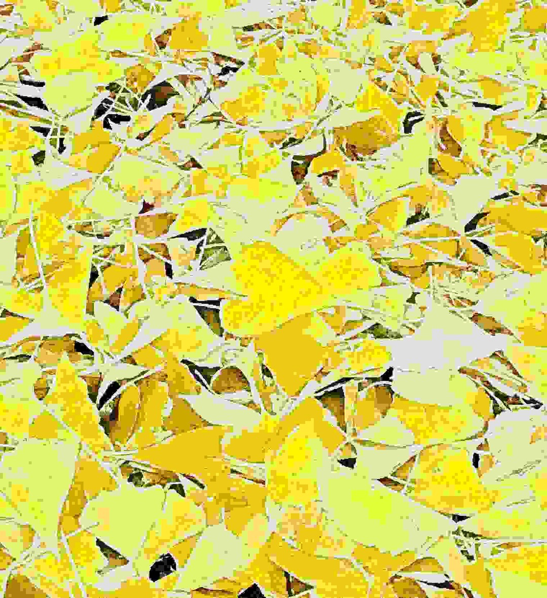 너무나 아름다워