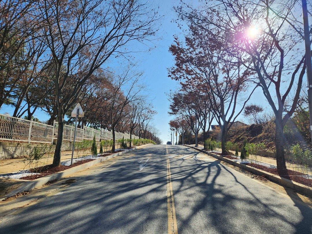 의성군, 의성읍 시가지 400m 구간...
