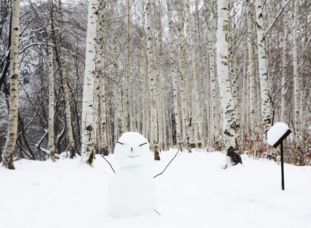 국립 영양 자작누리 치유의 숲 유치 ...