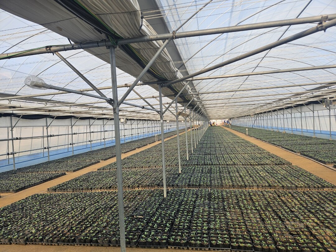 안양시, 꽃양묘장 내 실내 맨발길 조...