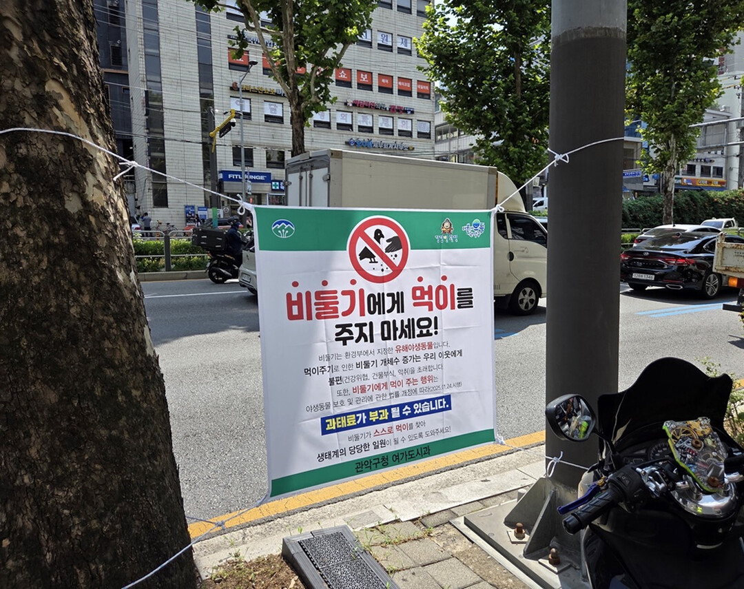 관악구, 96개 공공장소 ‘유해야생동...