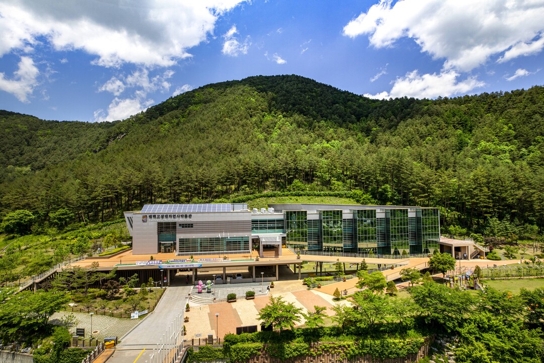 태백고생대자연사박물관, 크리스마스 맞...