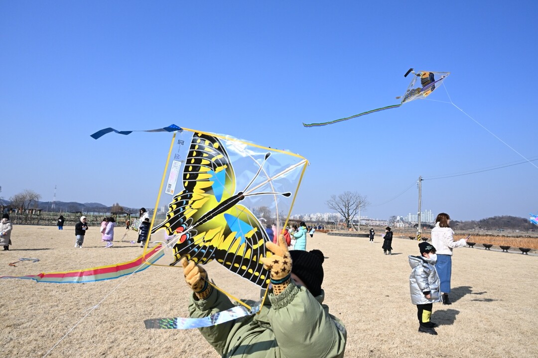 시흥시, 연꽃테마파크서 ‘호조벌 연날...