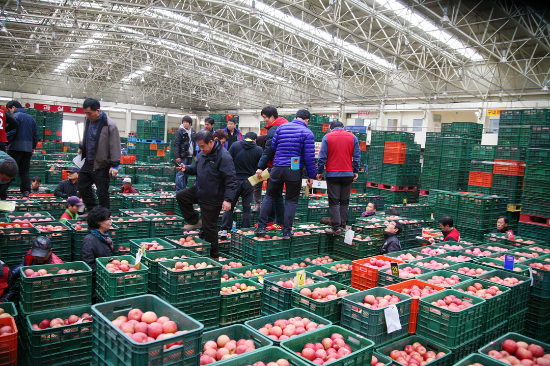 안동시농수산물도매시장 신정 '...