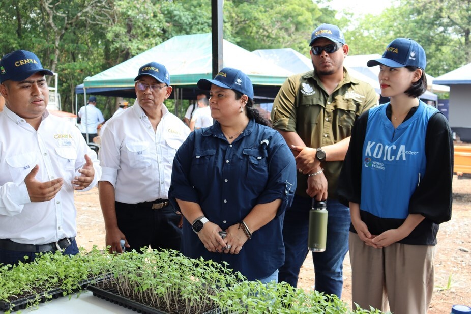 OECD, 코이카 개발협력 성공사례 ...