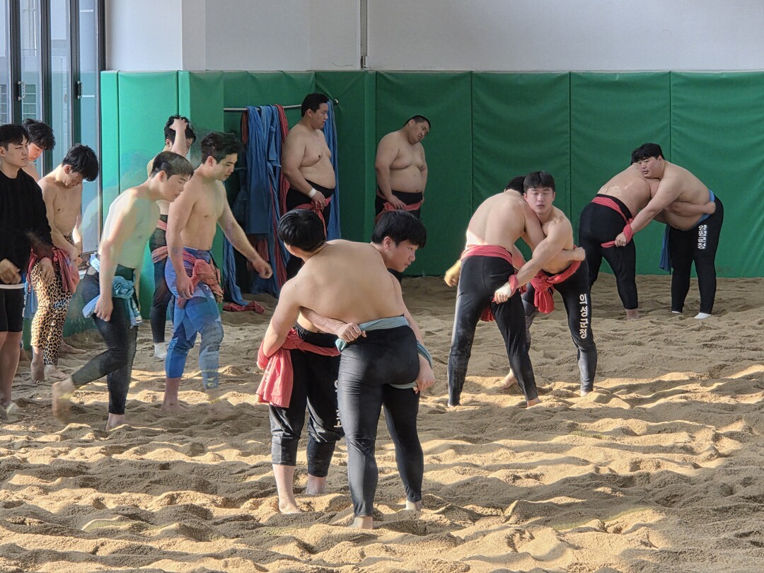 의성군, 국내 씨름단 동계 전지훈련 ...