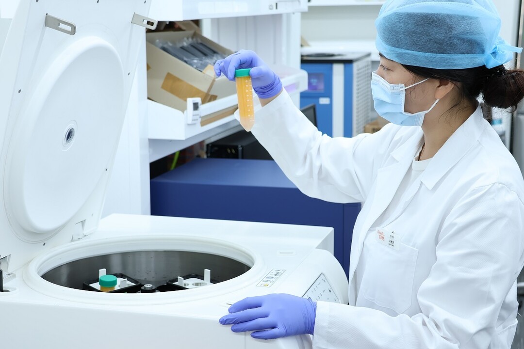 "해외 원정 치료 줄인다&q...