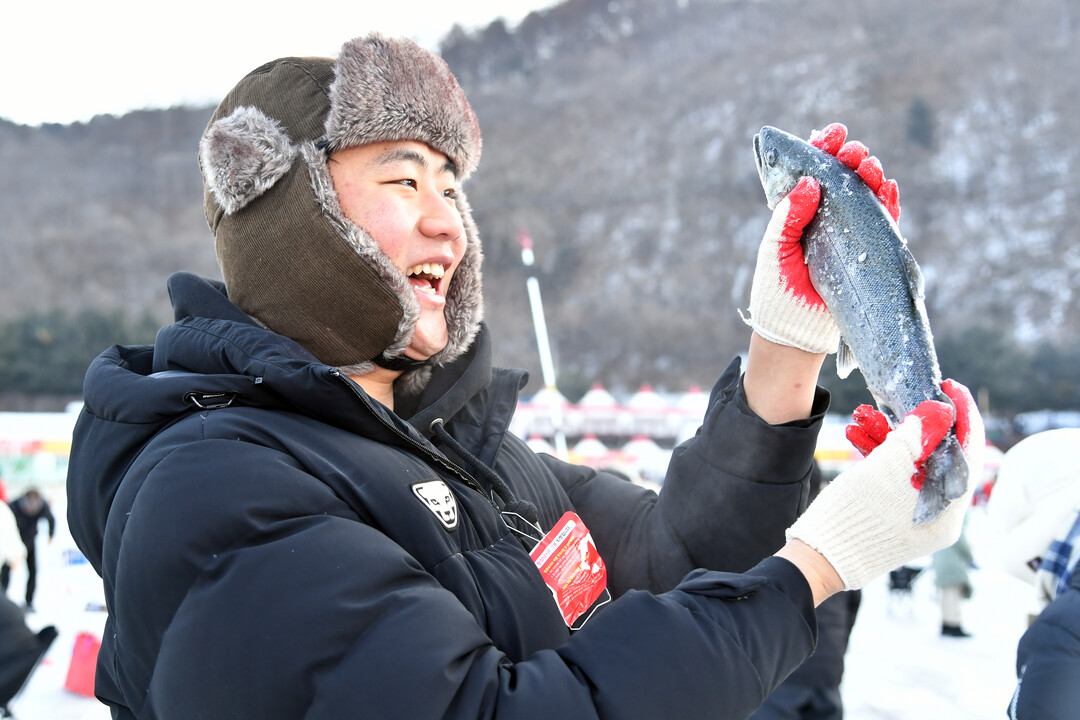  25일, 주말을 맞아 이른 아침부터 화천산천어축제장을 찾은 관광객들이 산천어 얼음낚시터에서 산천어를 낚아 올리며 즐거워하고 있다. 

