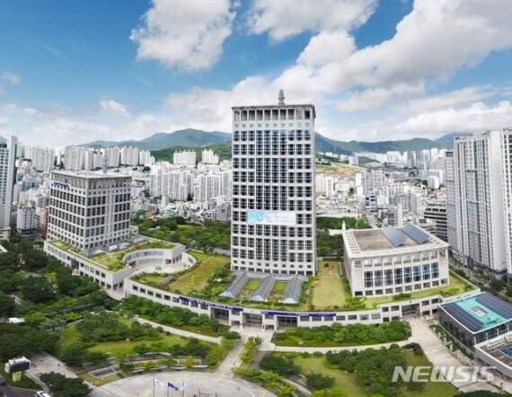 부산시, 지역특화 벼 '황금예...