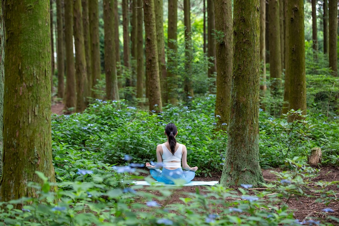 하이원리조트, 한국광관공사 4회 연속 ‘우수 웰니스 관광지’ 선정