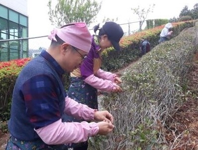 기장군, 전통 차(茶) 문화 잇는‘기...
