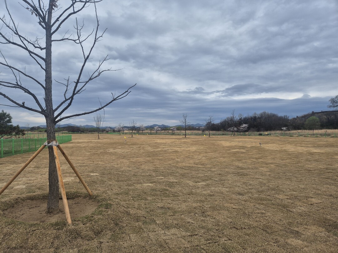 창원특례시, 대산 파크골프장 공사완료...