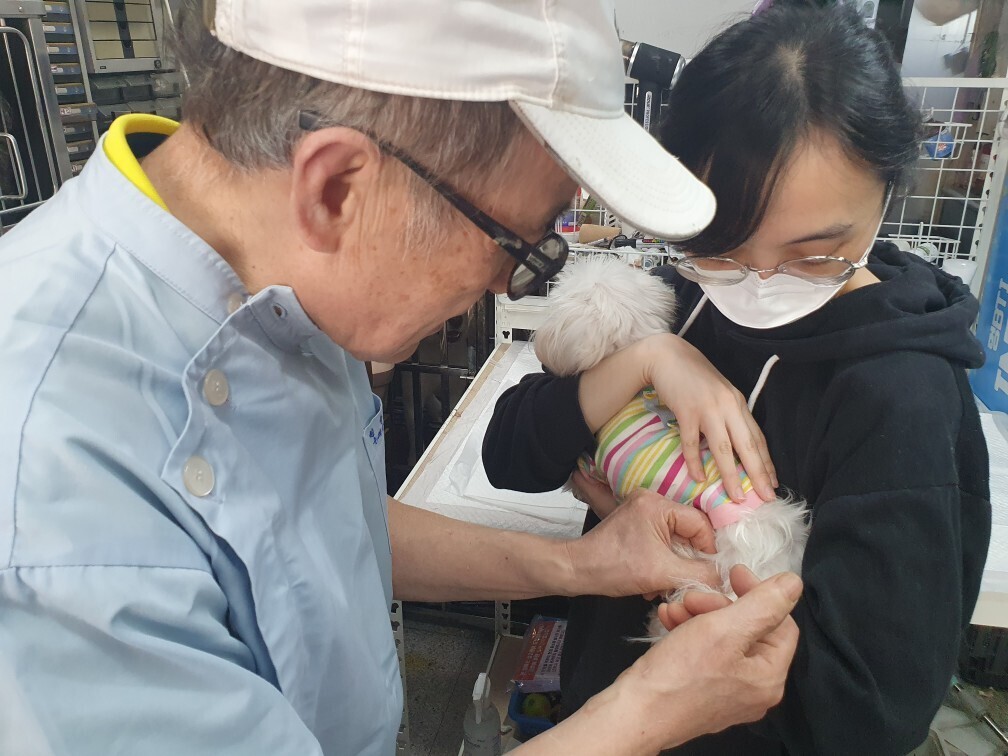 인천 계양구, 2026년 춘계 광견병...