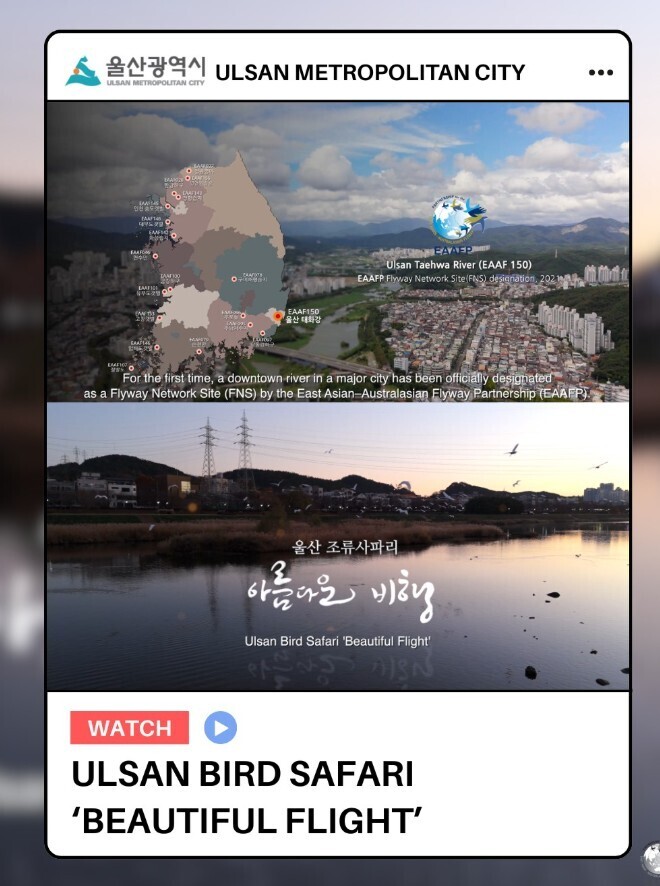 ‘울산 조류사파리’국제철새기구 통해 ...