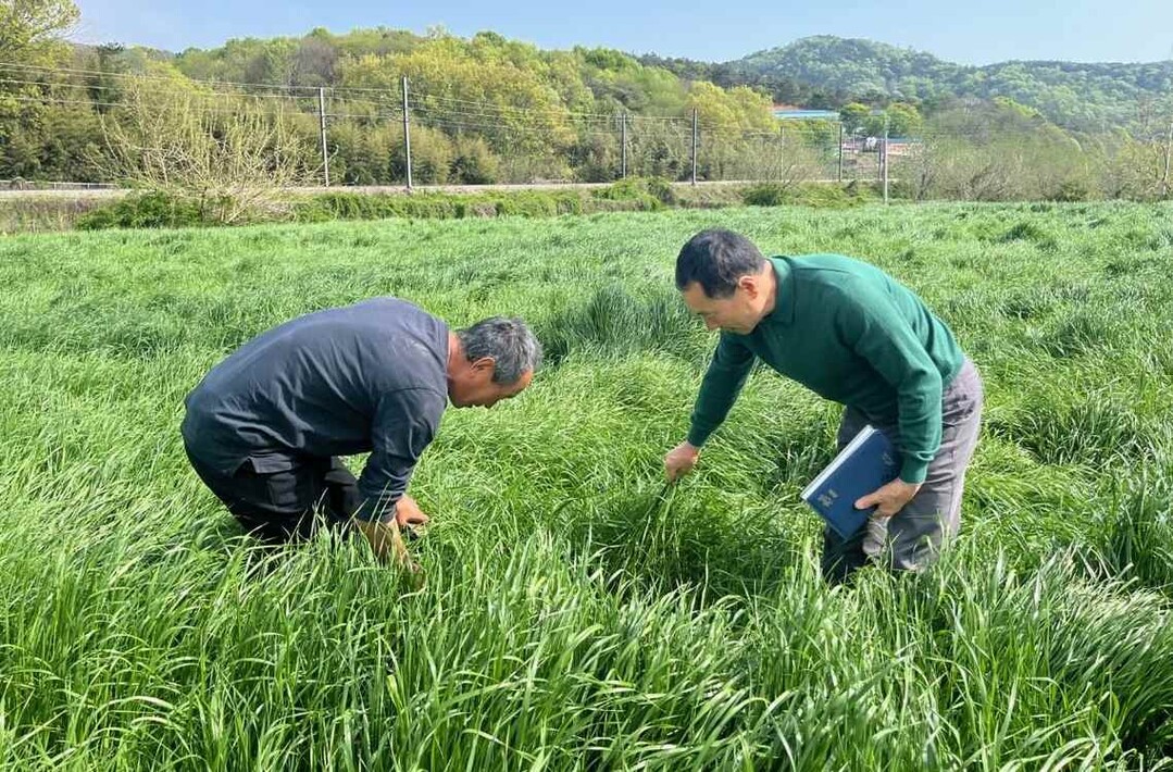 장성군, 중동 사태 …농가 지원 예산...
