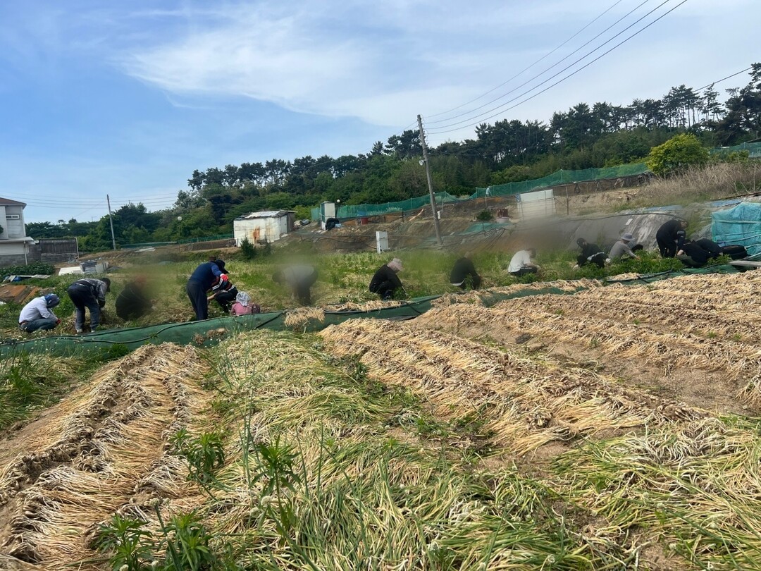 부산동부보호관찰소, 지역 특산품 ‘기...