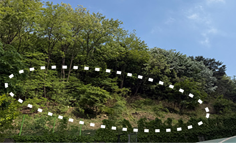 구민 안전 최우선… 동작구, 서달산 ...