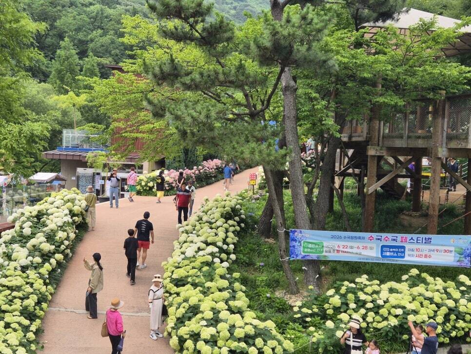 진주시, 2026 월아산 수국정원 축...