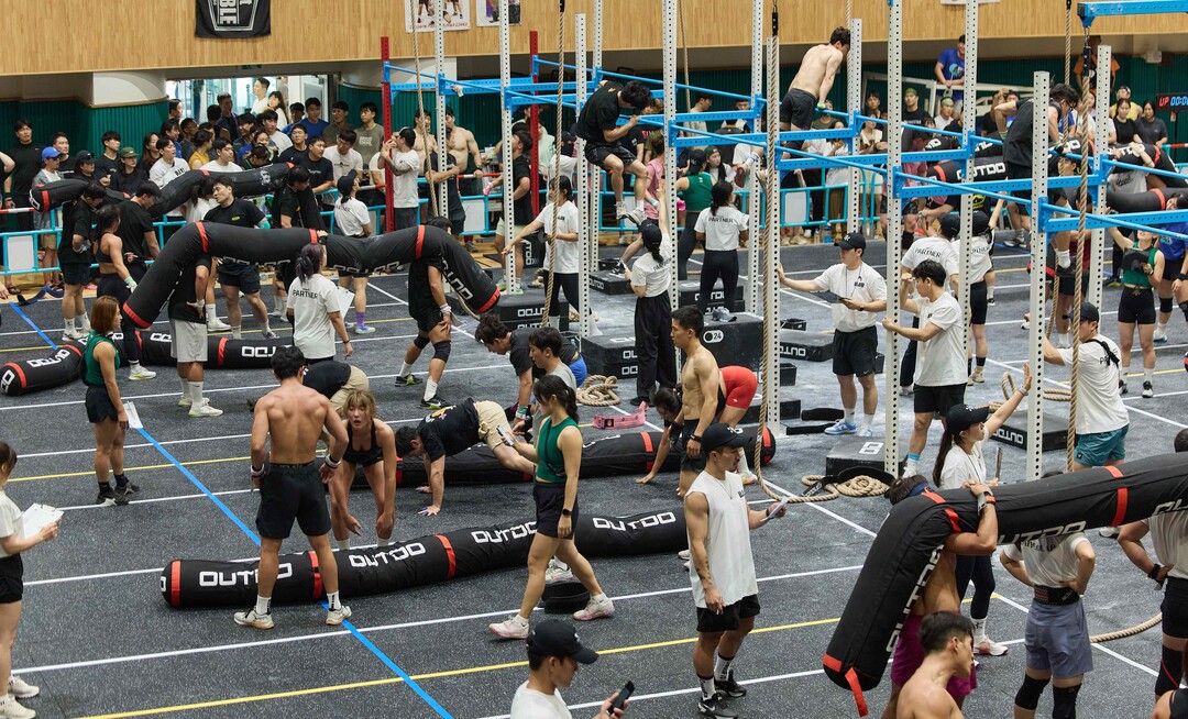 완도군,  '2026 완도 청...