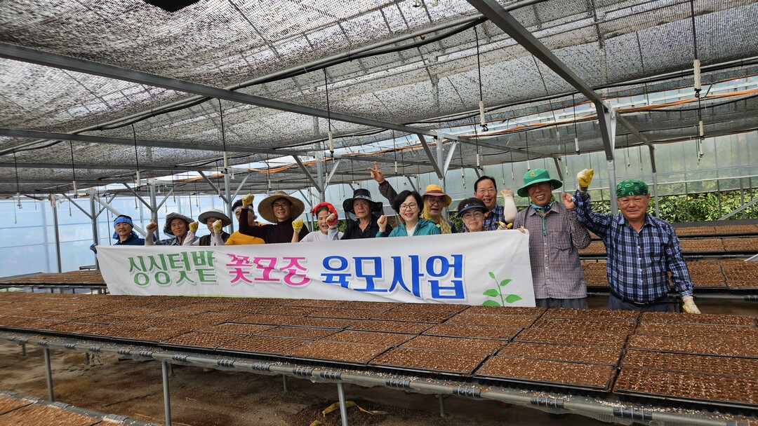 고성군 거류면주민자치회, 육묘장 배추...