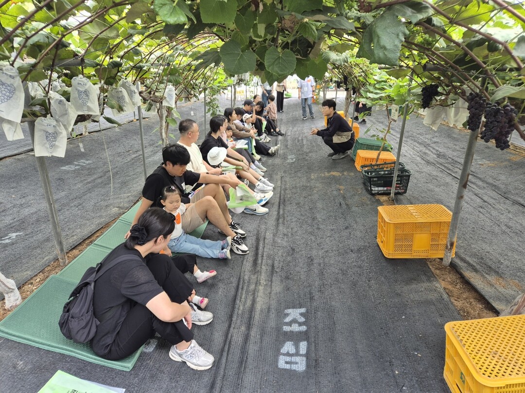 인천 검단구 어린이·사회복지급식관리지...