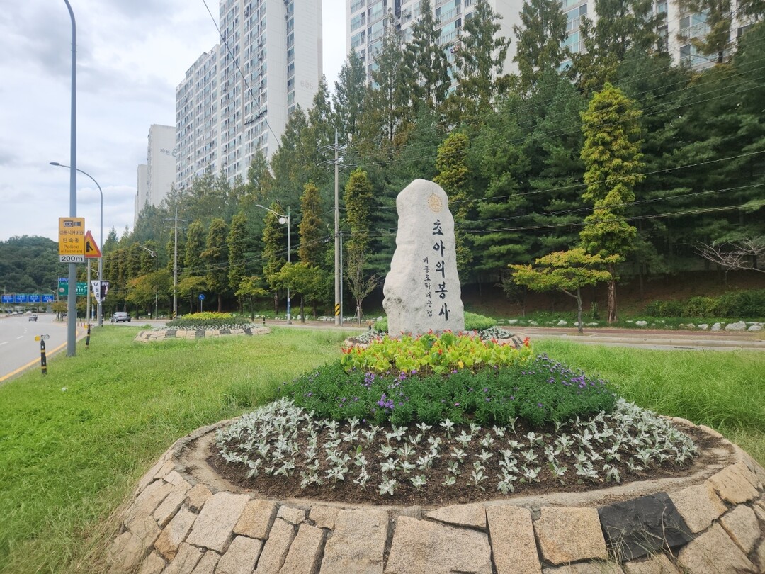 용인시, 주요 도심 곳곳 가을꽃 단장...