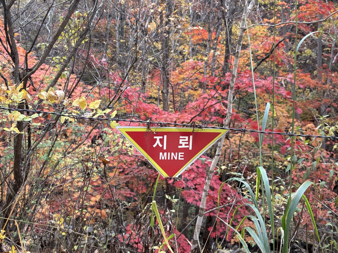 양구 ‘금강산 가는 길 걷기’ 1,9...