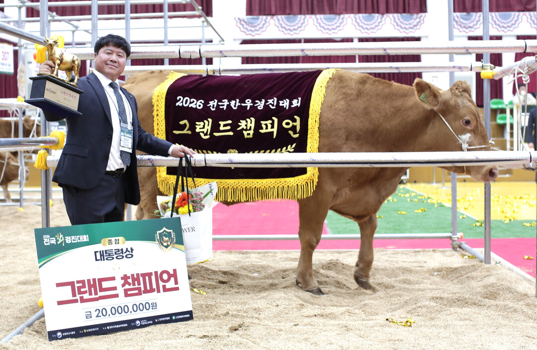 농협, ‘2026년 전국한우경진대회’...